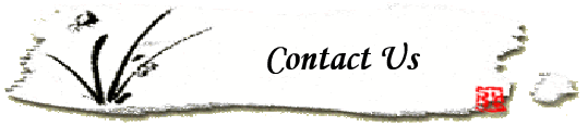 Contact Us